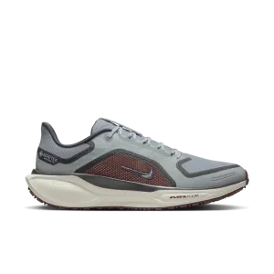 sports festival running option Men's Pegasus 41 GORE-TEX (003 - Light Pumice/Ashen Slate-Burgundy Crush)