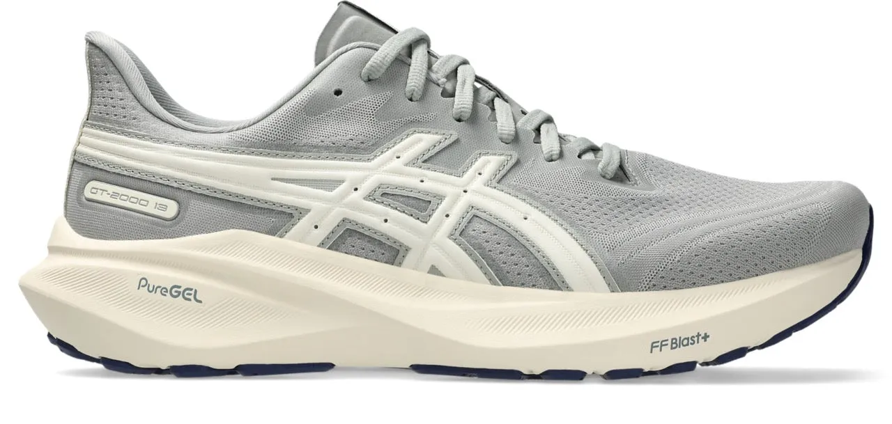 Sunny day run Themed Run Men's GT-2000 13 ATC (020 - Seal Grey/Birch)