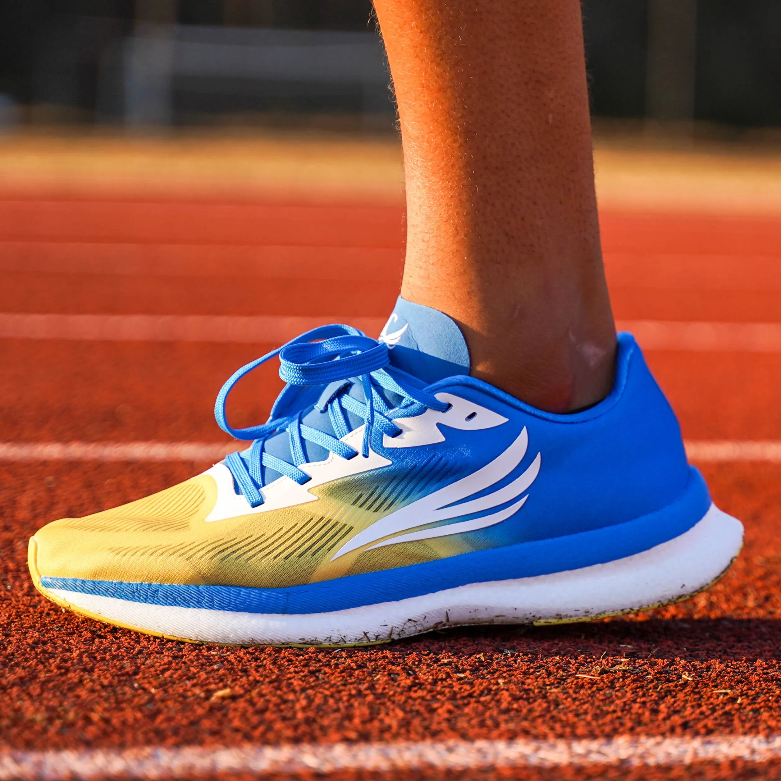 EQUUS Men Blue Running Shoe running in competitions