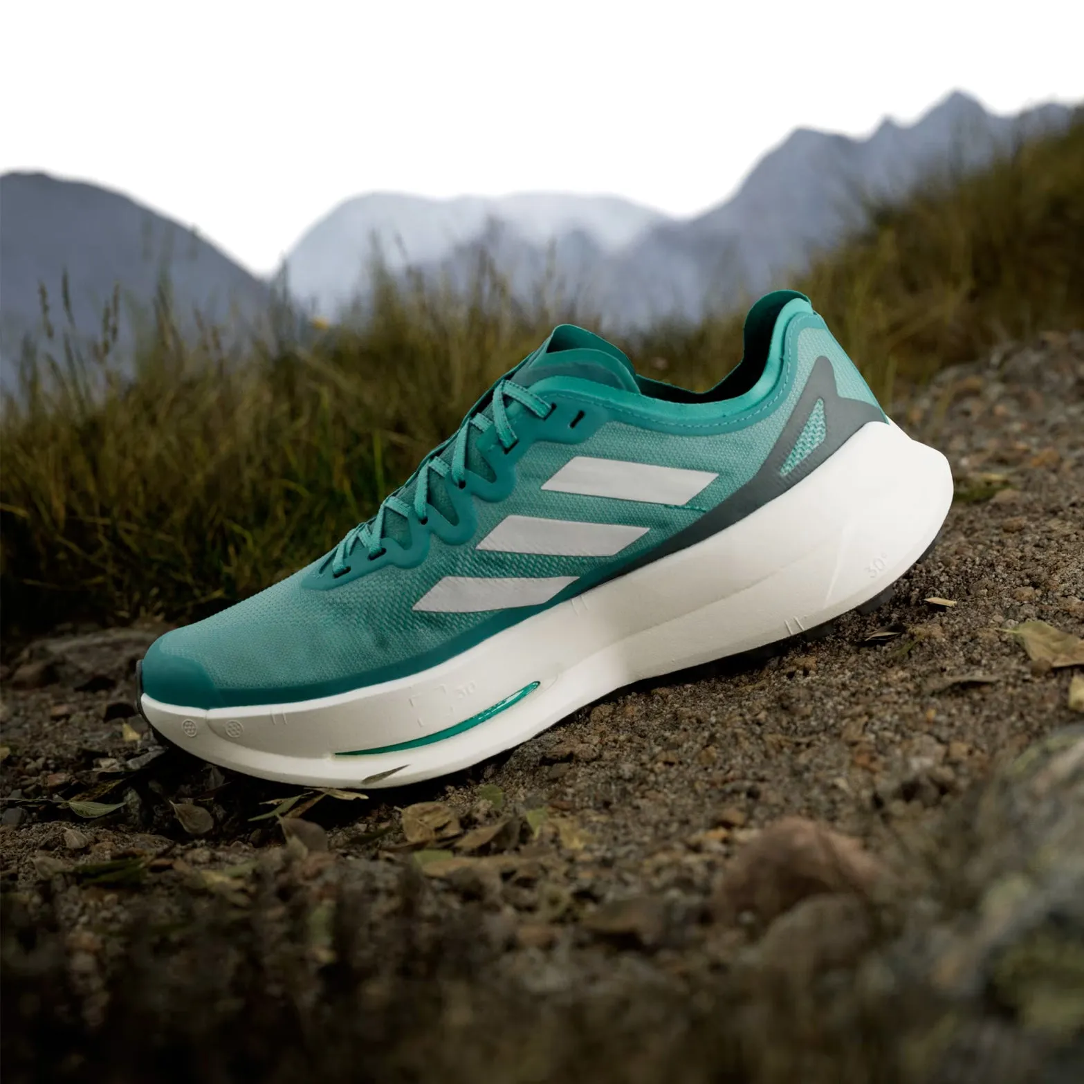 Men's Terrex Agravic Speed Speed Ultra Trail Running Shoes Pure Teal / Grey One / Aurora Ivy Ventilated Upper